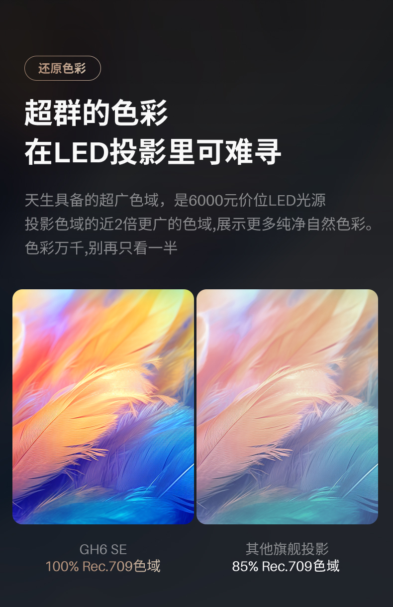 GH6 SE