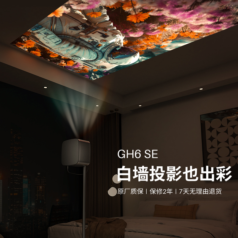 GH6 SE